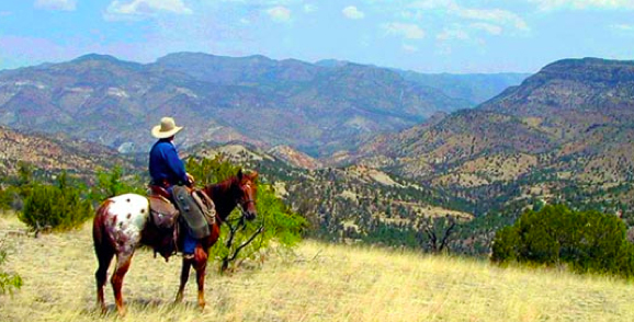 Double E Ranch